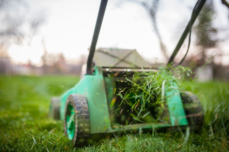 Mulching de hierba cortada. Qué es y cómo beneficia al césped 19